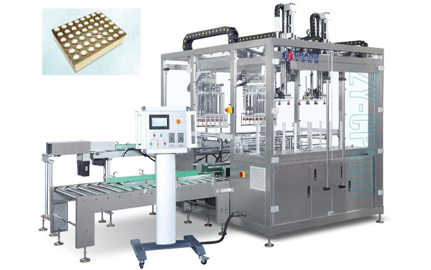 GD-CP550 Double Station Case Packing Machine
